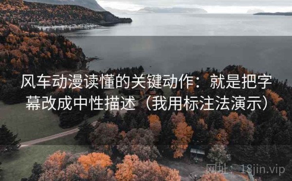 风车动漫读懂的关键动作：就是把字幕改成中性描述（我用标注法演示）