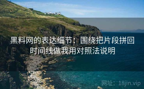 黑料网的表达细节：围绕把片段拼回时间线做我用对照法说明